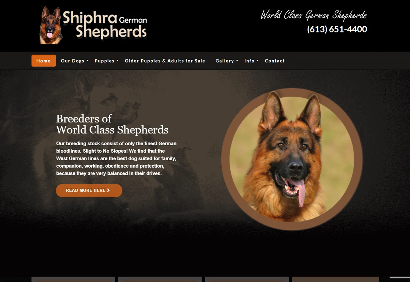 Shiphra German Shepherds website